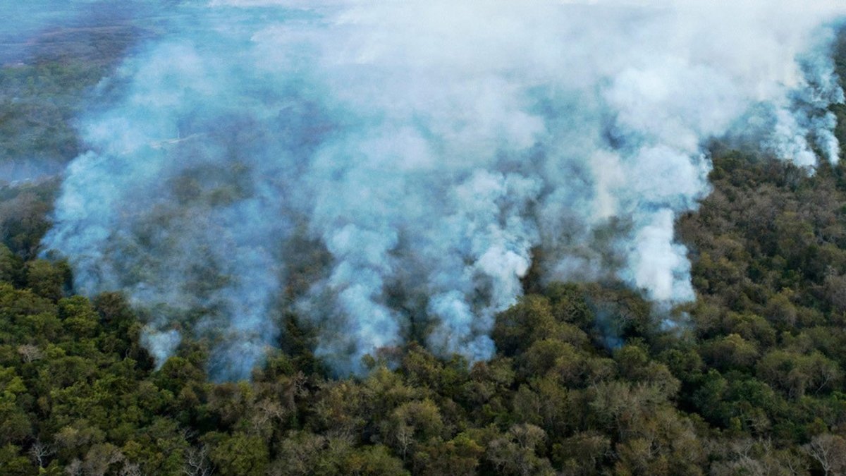 codigoocultocom's tweet photo. Incendios en Amazonía brasileña aumentaron un 120 % en octubre. Se registran más de 17 mil focos de #Incendio https://t.co/VzMcPg16Vx #Amazonas #Amazonia #Brasil #IncendiosAmazonia #IncendiosPantanal #JairBolsonaro #Pantanal https://t.co/dsY9YgTVea