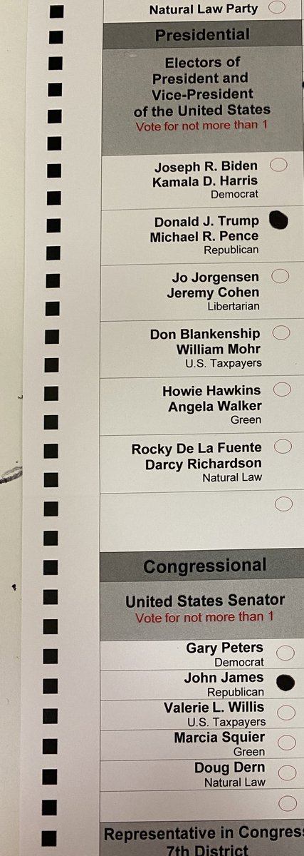 4AllSoulKind's tweet photo. #ivoted, did you?
LETS GO MICHIGAN
#MI4TRUMP #LETSFLYMI
✔️@realDonaldTrump
✔️@JohnJamesMI
✔️Down Ballot (R)
✔️#MAGA
PS: My local township candidates were ALL uncontested (R)’s!!! https://t.co/HsVanjvqNn