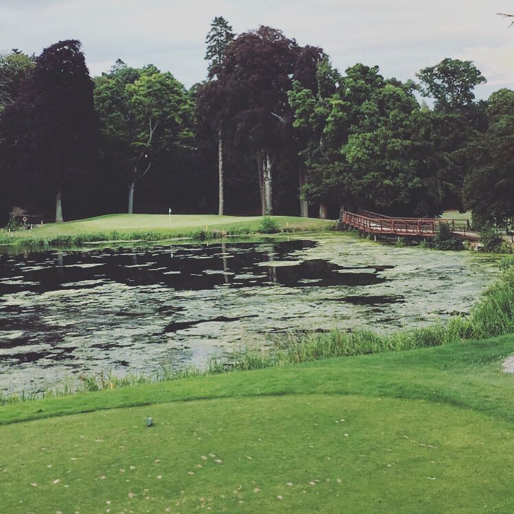 BackSpinBox's tweet photo. Many a ball lost in there.... ๐๐ผโโ๏ธ๐คท๐ผโโ๏ธโณ๏ธ
Which course at @cartonhousegolf is your favourite? ๐ค
#backspinbox #golfphotography #notyouraveragegolfers #sunsoutclubsout #golfersinlockdown https://t.co/uESsjEmvTe