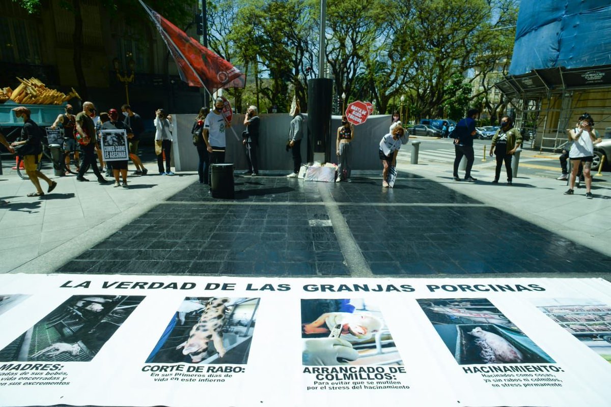 [Ahora] Protesta en Cancillería con la Coordinadora #BastaDeFalsasSoluciones para decir #NoAlAcuerdoPorcinoConChina: basta de agronegocio, saqueo y contaminación para pagar deuda externa.
Nos preparamos para la gran acción del #911EmergenciaSocioambiental.
bit.ly/3eoNHJt