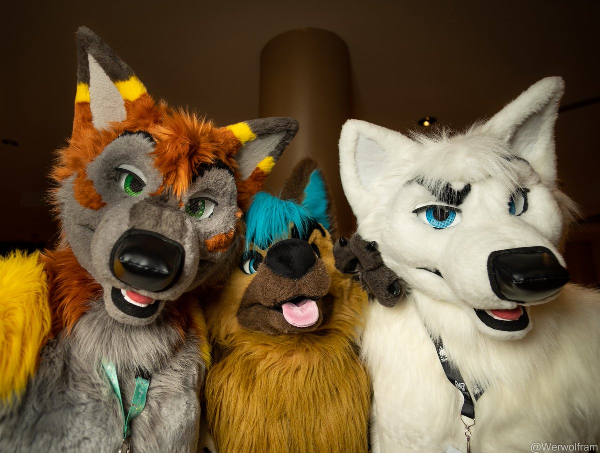 Werwolfram's tweet photo. Continuing the wide-angle portraits...
#TFF20
🦊: @ferricfox
🐺: @moonblazewolf
(Haven't ID'd the middle suiter yet) https://t.co/JnGv5Ps6FT