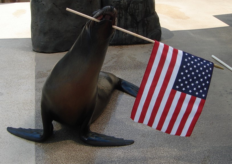 ComoZoo's tweet photo. It’s Election Day! Sparky wants to remind you to VOTE! https://t.co/KzVKO7DsiY