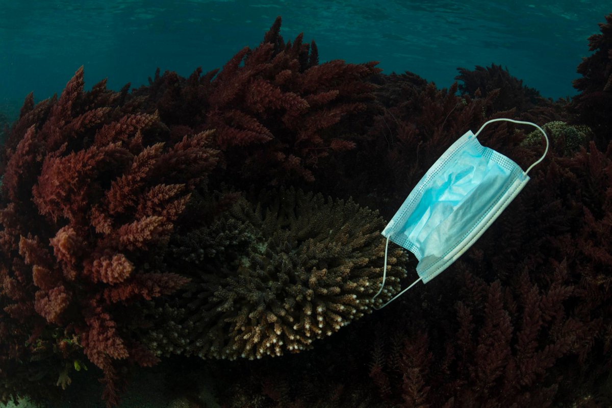 flextrapower's tweet image. This photo is devastating and gives us another reason to choose a #reusablemask over a disposable one: buff.ly/3ekd67d #graphenemask #vote #climate