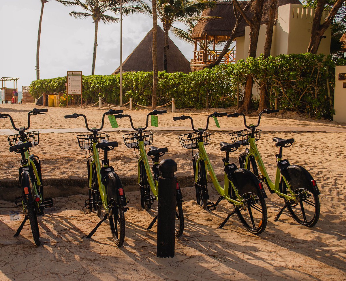biciplayamx's tweet photo. ¿Sabías que... tenemos varias ciclo estaciones a tan solo unos pasos de la playa? 😎🏝️

Regístrate en la app para ver el mapa completo, seguro hay una estación cerca de donde quieres ir. 😉

#PlayadelCarmen #RivieraMaya #mejorenbici #YoUsoBiciplaya #cicloturismo #bicilover https://t.co/pYBefyqZpL