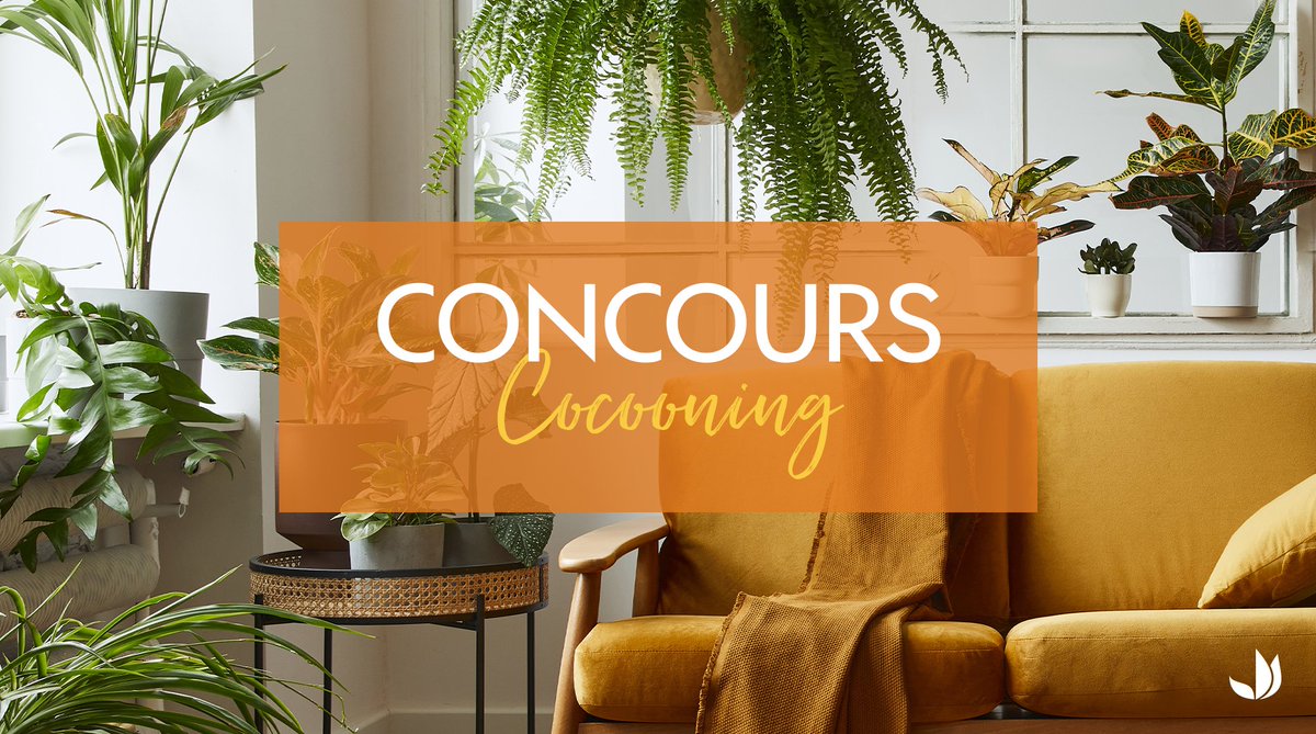 Truffaut's tweet photo. #Concours

Ambiance cocooning à la maison, on espère que vous passez une bonne semaine ! De notre côté, on a décidé de vous faire plaisir. Tentez de remporter une de nos 4 cartes cadeaux de 50€ (et valables un an) 🌿

👉 Pour participer : 
Rt et Follow @Truffaut 

TAS : 09/11 🍀 https://t.co/gdnkPMAOfh