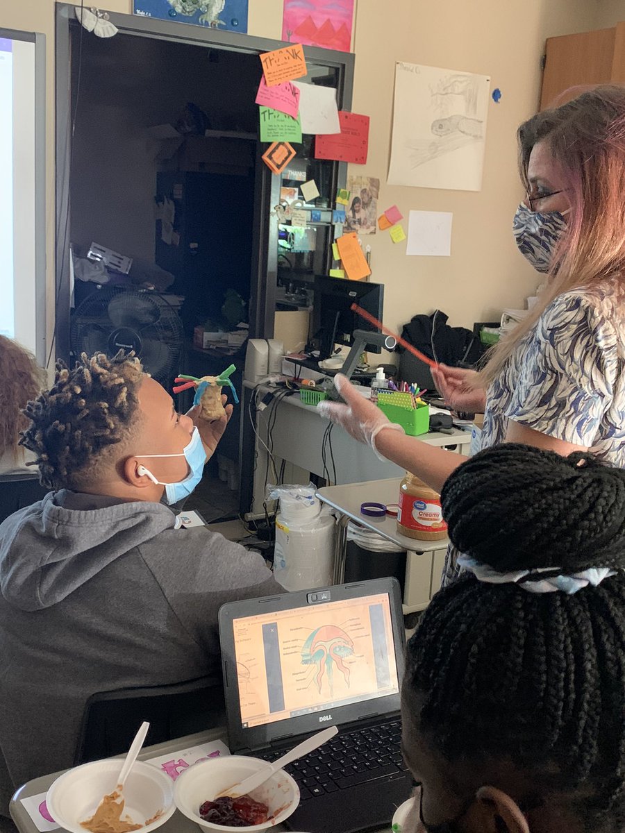 UnionAltEd's tweet image. Today is Mrs Bulls Science Class the students are creating Peanut Butter and JellyFish! Then the students are assessing their knowledge on the various parts of the Jellyfish! Everyone is getting hungry!! #altedrocks