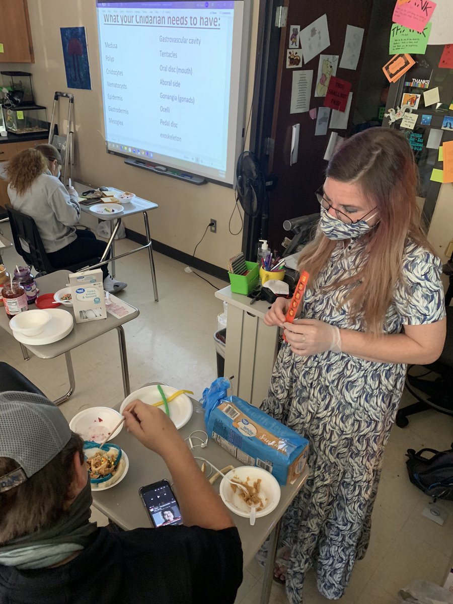 UnionAltEd's tweet image. Today is Mrs Bulls Science Class the students are creating Peanut Butter and JellyFish! Then the students are assessing their knowledge on the various parts of the Jellyfish! Everyone is getting hungry!! #altedrocks