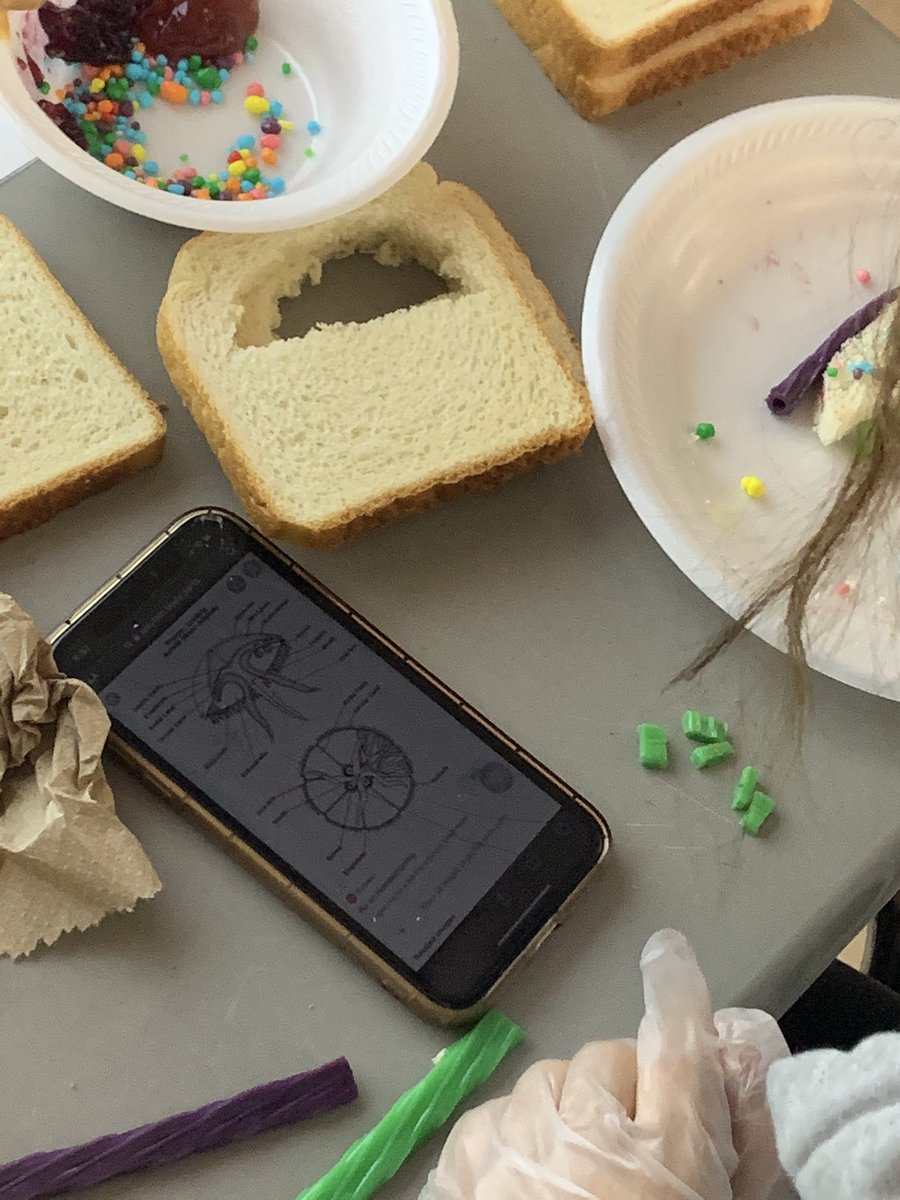 Today is Mrs Bulls Science Class the students are creating Peanut Butter and JellyFish! Then the students are assessing their knowledge on the various parts of the Jellyfish! Everyone is getting hungry!! #altedrocks