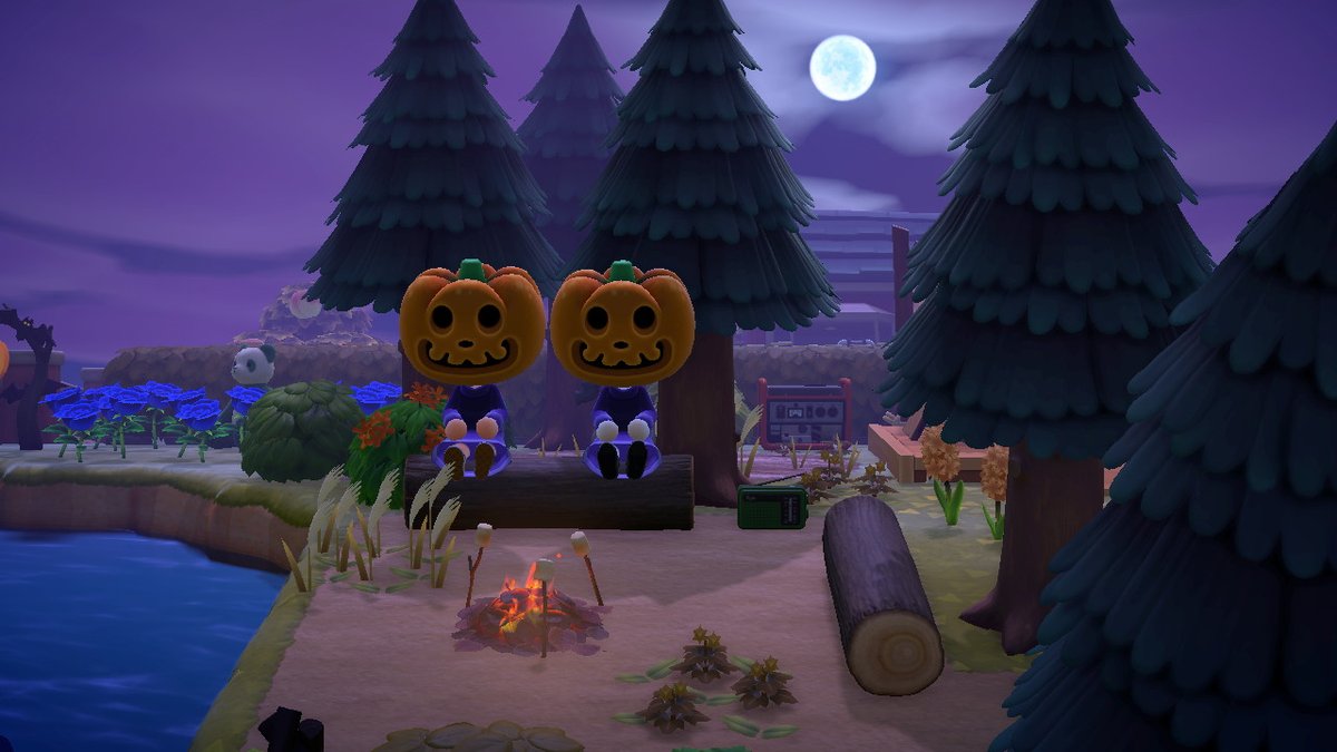 GoldenSince1987's tweet photo. #AnimalCrossing #ACNH #NintendoSwitch https://t.co/Fh40qHVoIx
