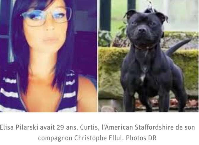 Sin embargo, justicia, lenta pero segura, acaba de recibir informe de 2 peritos que cuestionan esa versión: el calibre de la mandíbula del perro de la víctima, coincide con los mordiscos que le segaron su vida, ninguno de los perros de la cacería pudo participar en la agresión.