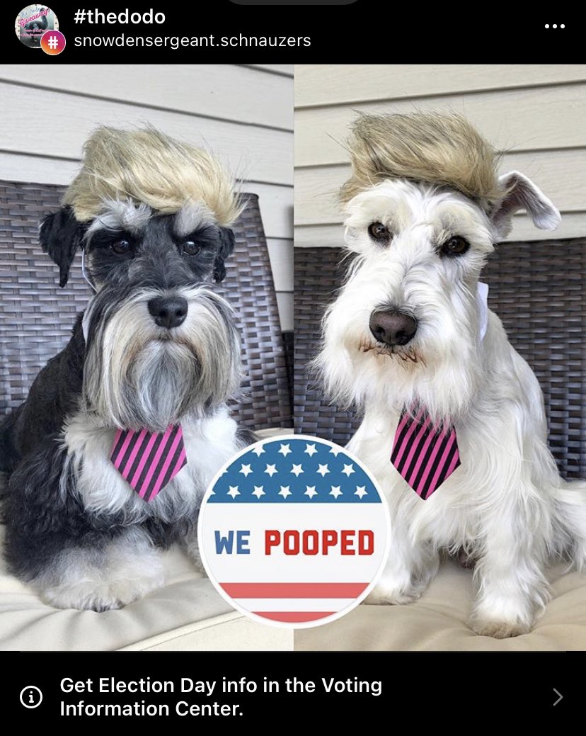 InfoSecSherpa's tweet photo. #MakeAmericaPoopAgain
Source: https://t.co/JO9Z0lZQpe https://t.co/KmK6ZEvJao