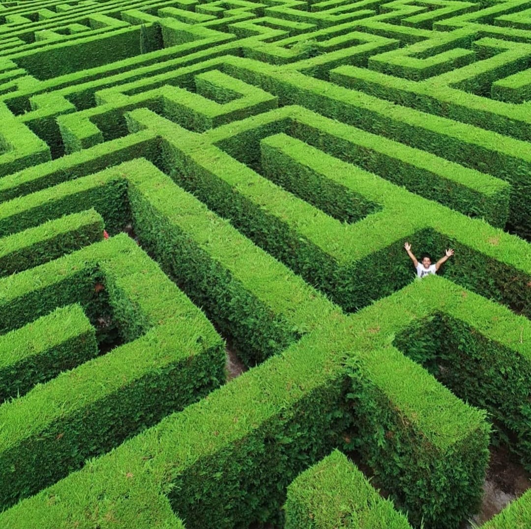 Ya puedes inscribirte a nuestro taller online "Igerseejecant; Pasado, presente y futuro de Instagram" Será del 16 al 26 de noviembre. Plazas limitadas !! 👇👇 jovenmania.com/comunes/notici…