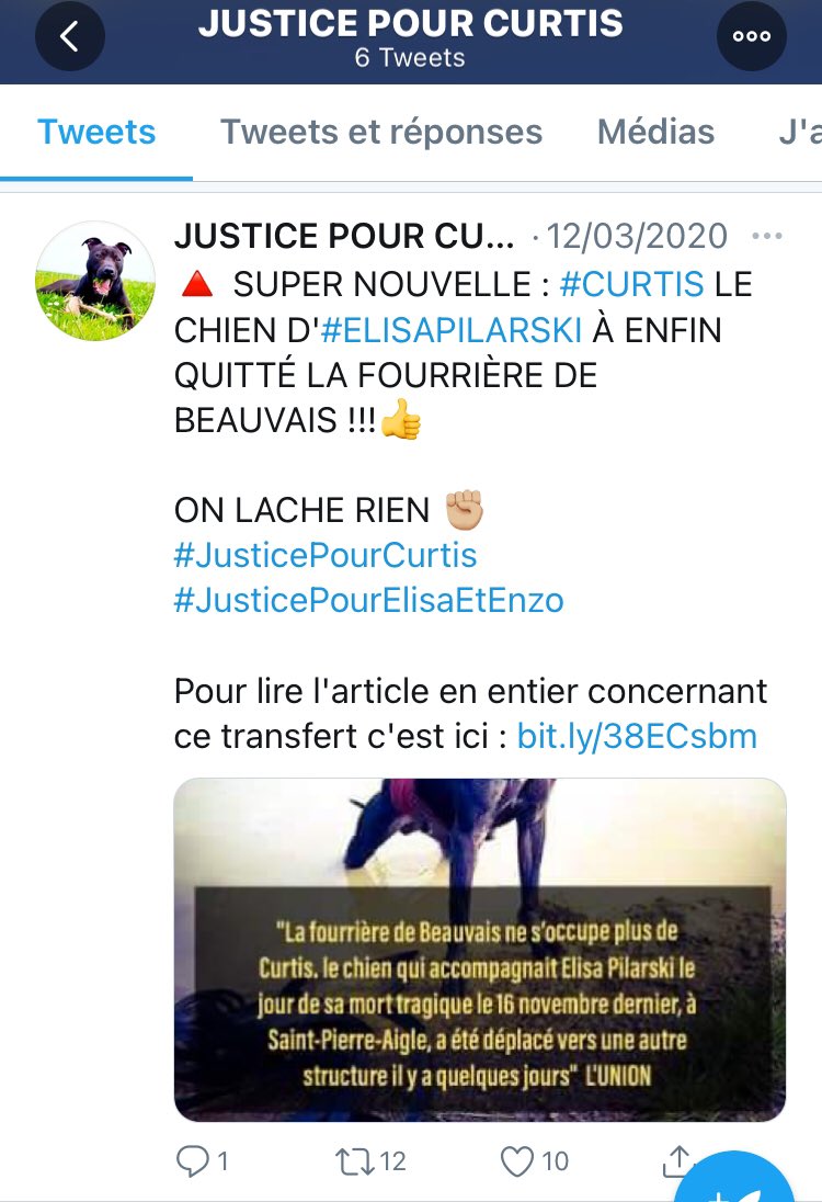 Pese a ello, los complotistas ganan terreno, se han creado comités de defensa del perro que presumiblemente provocó las mordeduras mortales, consideran que el informe está elaborado por « peritos a la carta » y que es un informe de complacencia, (son los demás que se equivocan).