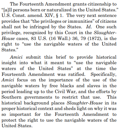 The specific right at issue in the petition, recall, is the right to use the navigable waters of the United States. That may sound like a small thing today, but the historians explain that it was a critically important right to newly freed slaves.