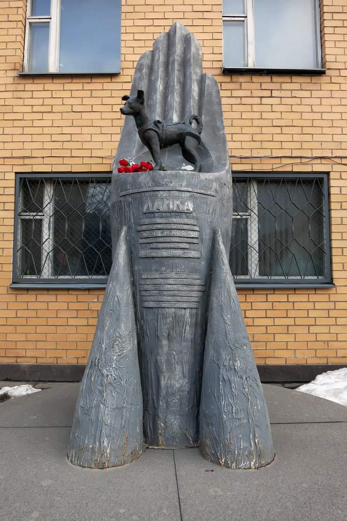 ExploraRusia's tweet photo. Laika, en ruso Лайка, (ladradora) fue una perra espacial soviética que se convirtió en el primer ser vivo terrestre en orbitar la Tierra. 
Lo hizo a bordo de la nave soviética Sputnik 2, el 3 de noviembre de 1957, un mes después que el satélite Sputnik 1. https://t.co/zVZCrh4e3Q