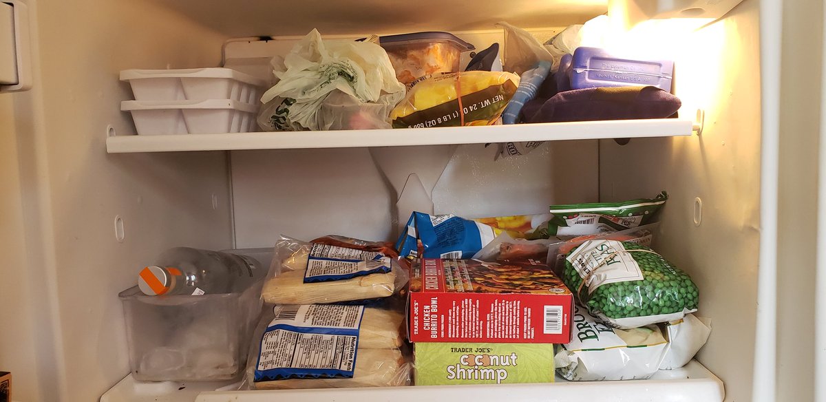 kathybing56's tweet photo. Ok I've cleaned out and reorganized my tiny freezer. That took 10 minutes. Swapped out my flip flops for winter shoes. Another 10. It's 11:30 am. 😳 Now what??? #stress #busywork #stupidtasks #2020Election #ElectionDay #thisisthelongestdayever https://t.co/WED8g6haaR