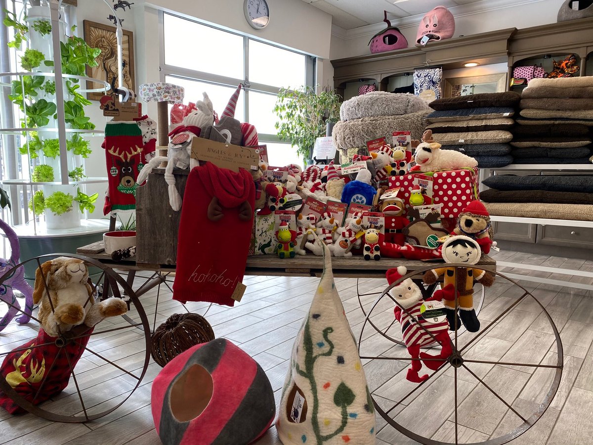 Gardenofthepaws's tweet photo. We know it’s early... 
But we just couldn’t wait to bring the Christmas spirit to Garden Of The Paws ! #holidayshopping #Christmas2020 #pets #dogsoftwitter #CatsOfTwitter #shopsmallbusiness https://t.co/gwKEhXwclS