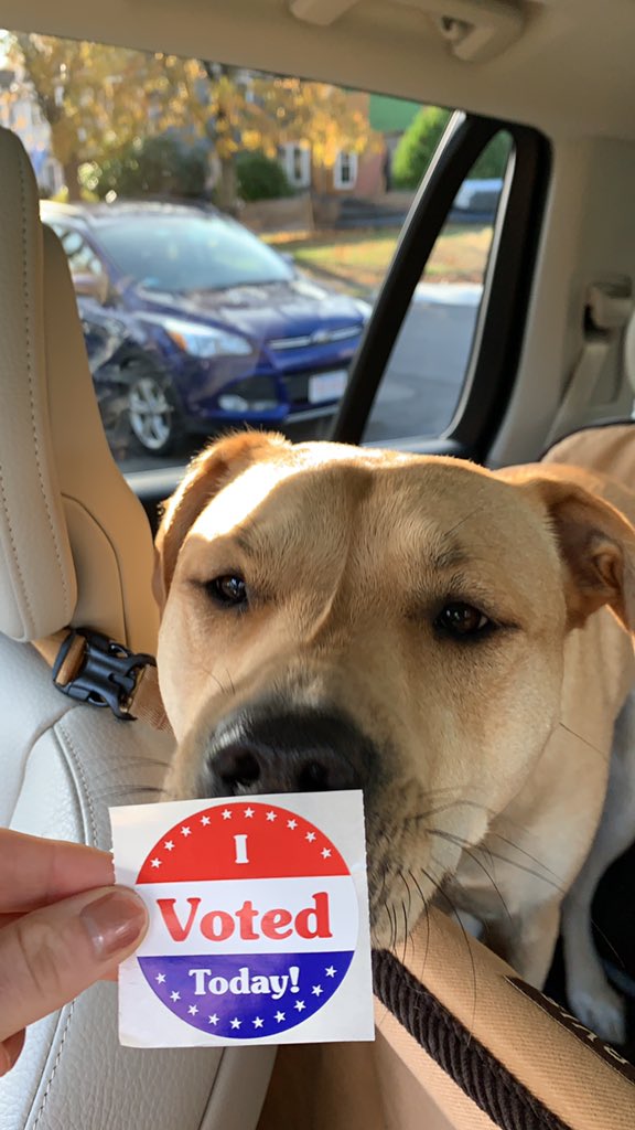 Mrs. Schott tweet media