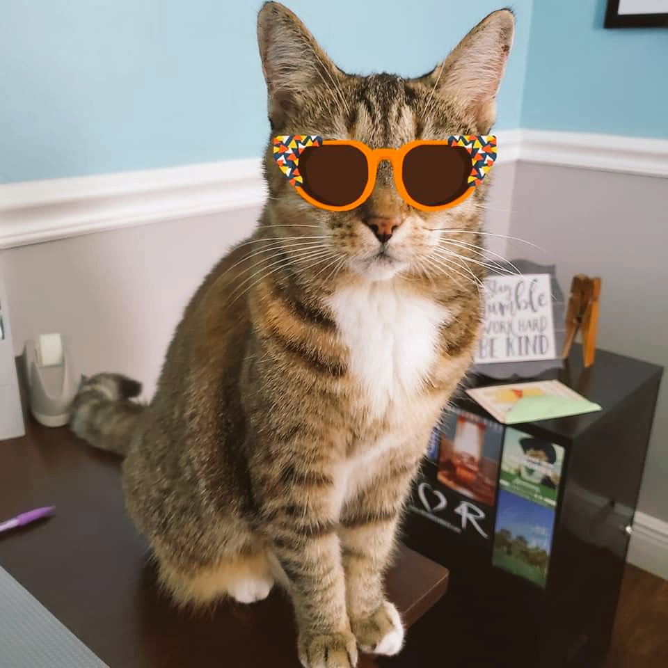 #ElectionDay 2020 in the USA is here. For the record, #Blondie voted. She was not disen*fur*anchised. Did she...

🔹️Vote in *purr*son?
     -or-
🔹️Vote by tail?