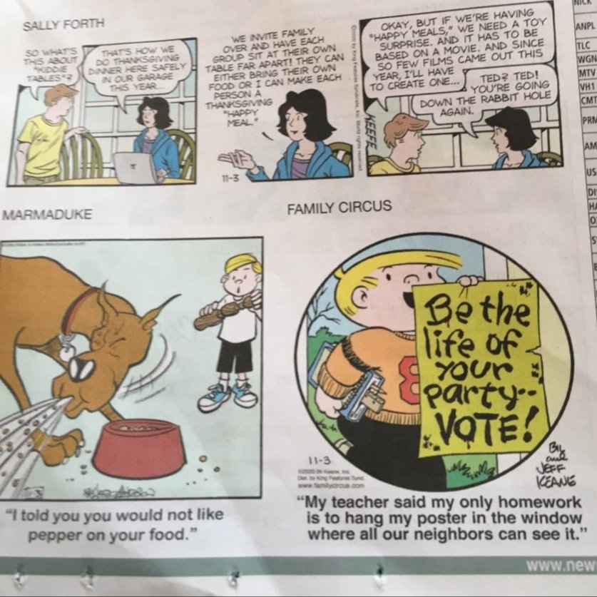 Sally Forth: weirdly, the one strip that has been consistently topical on this page all year does a Thanksgiving strip on Election DayMarmaduke: hates pepper. Is code for something?Family Circus: Billy's school is open during the pandemic & Ida Know who will win the election