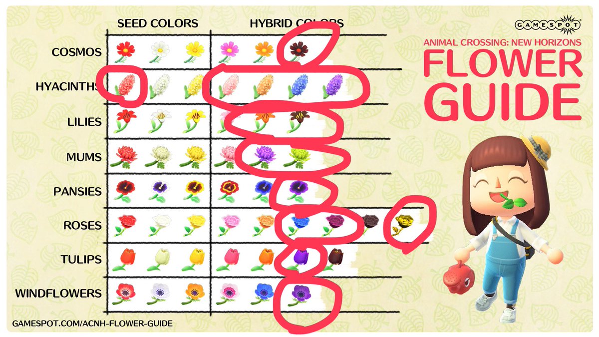 Alex ( Alex ACNH) Twitter