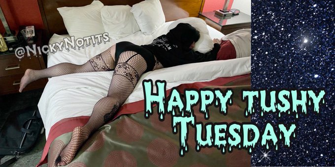 Happy #tushytuesday 🧁 https://t.co/tGmSbWtLPS<a href="/tag/tushytuesday"class="tags">#tushytuesday</a>