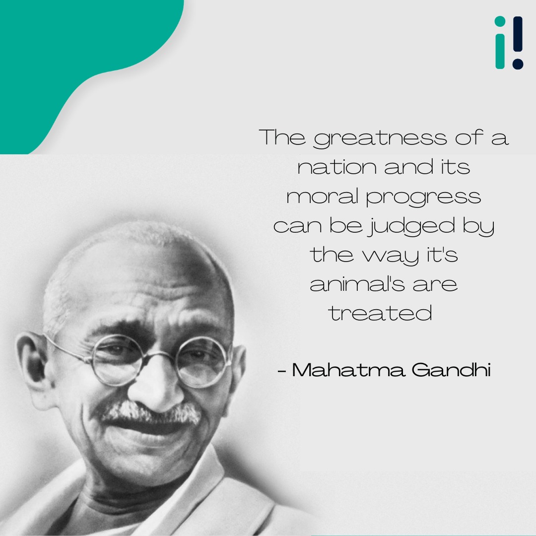 If you don't like pictures of animal cruelty being posted on social media, you need to help stop the cruelty, not only the pictures. 
Let us know your views in the comment section below