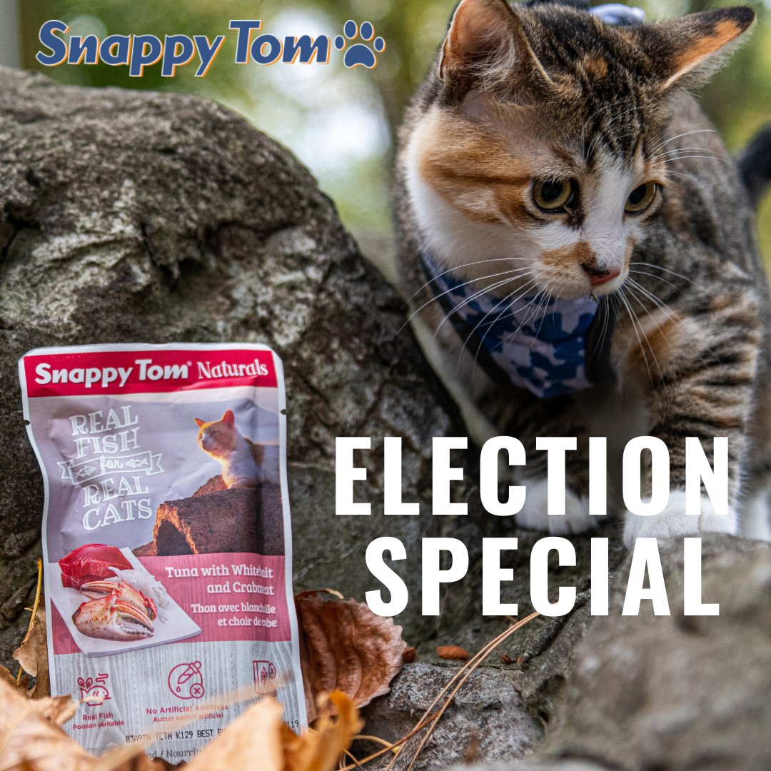 SnappyTomPets's tweet photo. ELECTION SPECIAL! 

Shop now through November 14th and receive 25% off Snappy Tom Naturals 3.5oz. And don't forget to vote! 
--
https://t.co/Vaz0itGKoa https://t.co/jww4LzhORk
