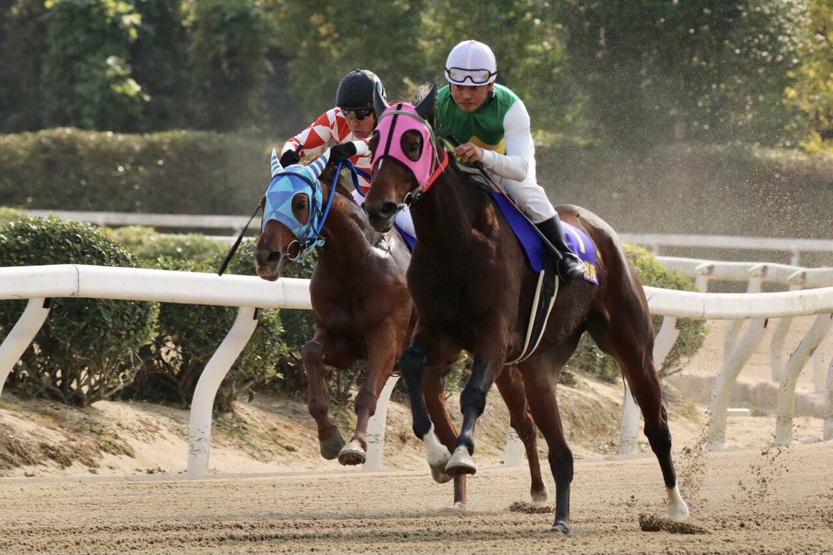 まる W 11 3 さがけいば祭り ジョッキーマスターズレース 中川 竜馬 調教師 ムク号 今年も仕上がってるぅ 出水騎手カラーのメンコかわいい 佐賀競馬場 さがけいば さがけいば祭り Marupicsaga