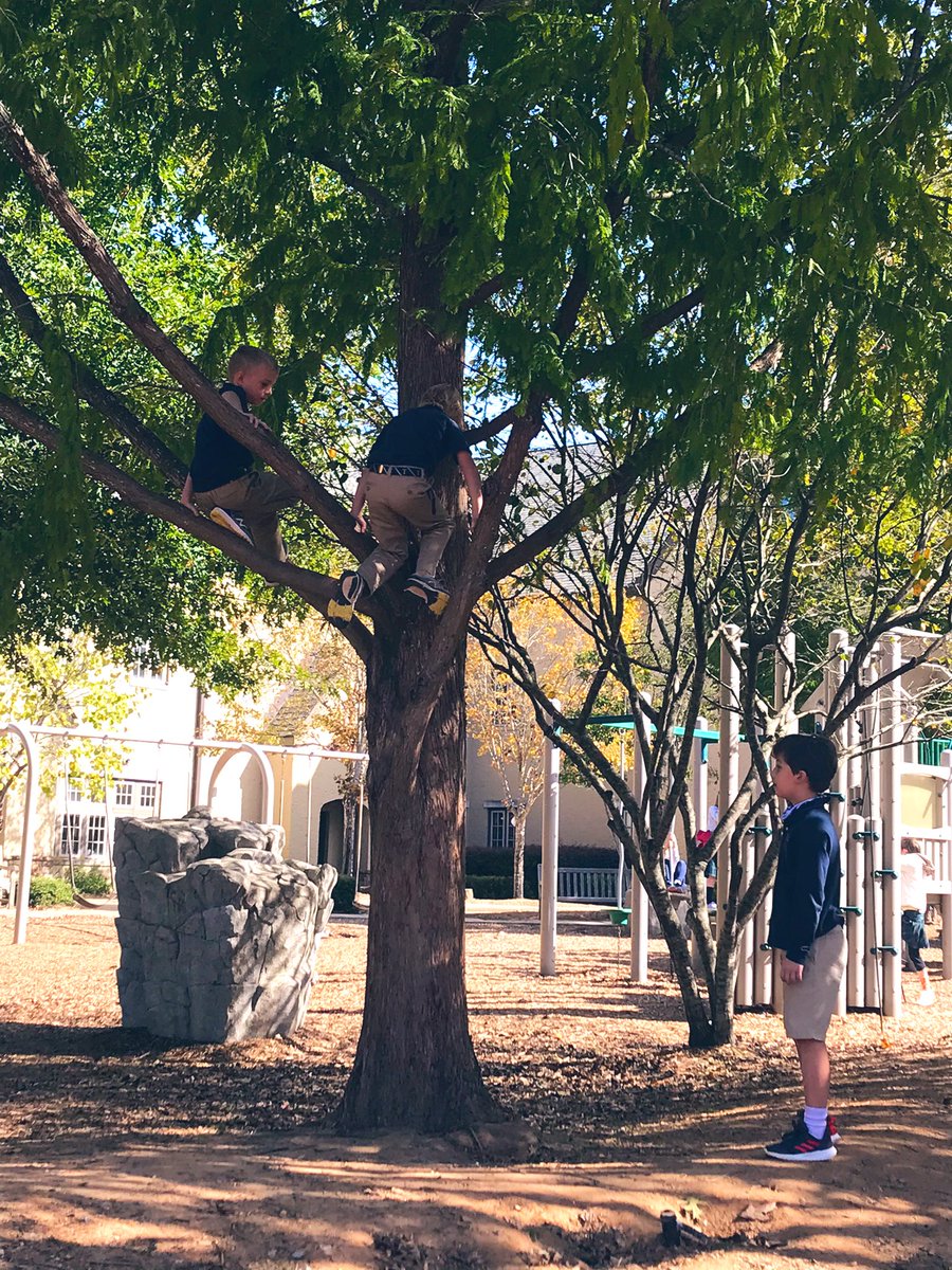 The joys of recess- teaching your friends how to climb a tree! ❤️ #TrinityLearns