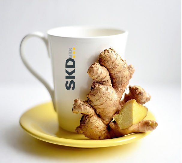 SKDBKK's tweet photo. #ImmunBooster Shots zur Stärkung für dein #Immunsystem 🍋 sei gewappnet für die Erkältungszeit 🍀 ➡️ https://t.co/80lMnzvk1U https://t.co/phmEDwDKCL