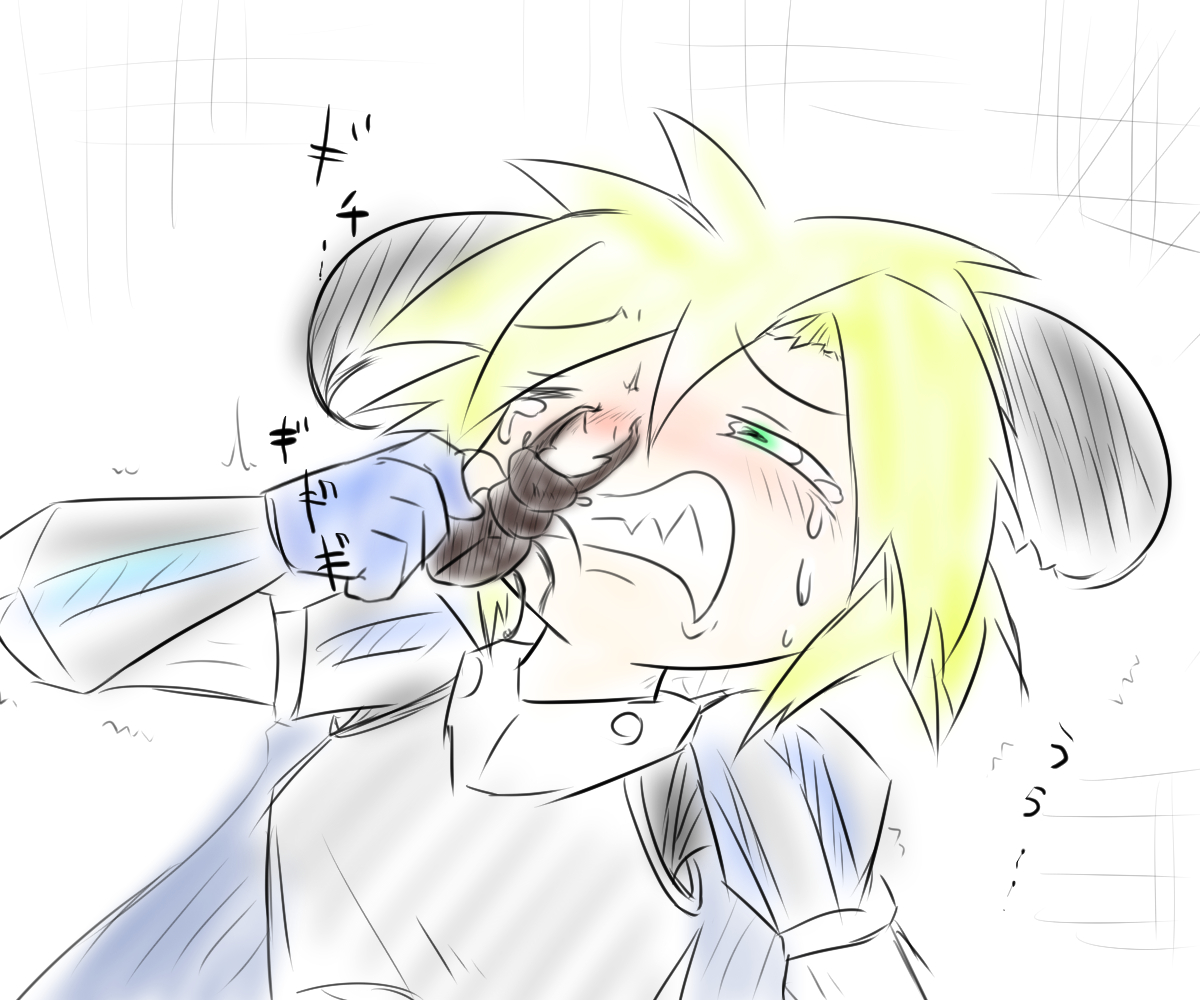 クワガタに鼻を挟まれるモルモラット 