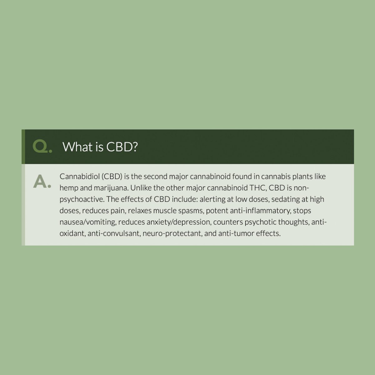 canbigold's tweet photo. Looking for the answers to some of your CBD questions ?🌿

Swipe to get all the details and answers...

If you have any other questions remember you can contact us directly on info@canbigold.com

#cbd #cbdhealth #cbdwellness #cbdproducts #cbdoilsouthafrica #cbdfaq #canbigold https://t.co/vj5YWG5Mex