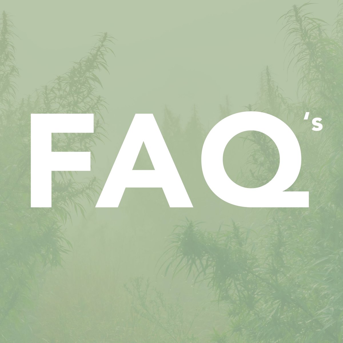 canbigold's tweet photo. Looking for the answers to some of your CBD questions ?🌿

Swipe to get all the details and answers...

If you have any other questions remember you can contact us directly on info@canbigold.com

#cbd #cbdhealth #cbdwellness #cbdproducts #cbdoilsouthafrica #cbdfaq #canbigold https://t.co/vj5YWG5Mex