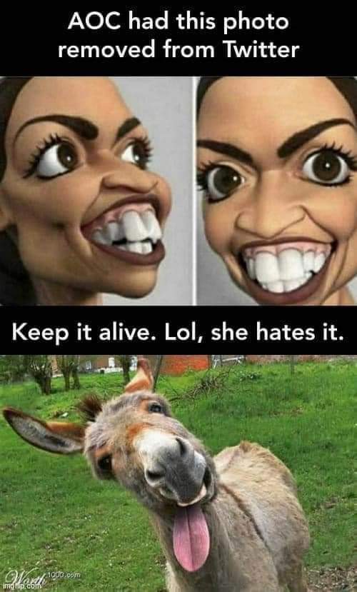 AOC. Spitting image, TWINS