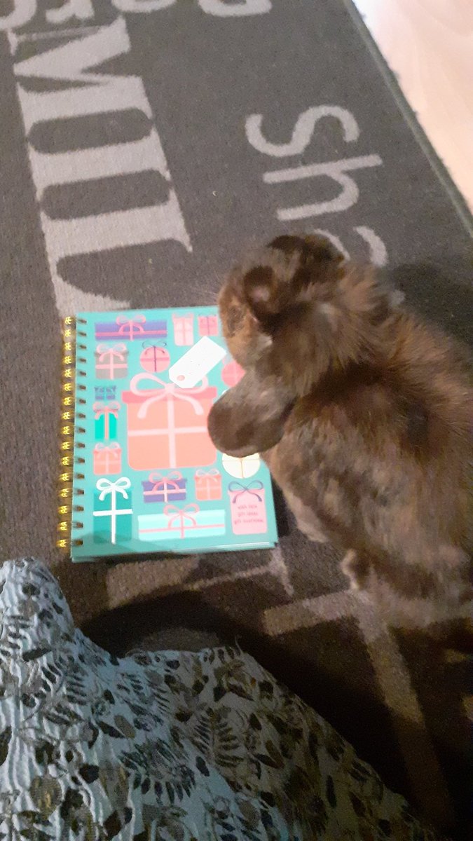 56 bunnies have now signed up for #bunnysecretsanta Last year we broke the record with 82 buns joining. Mum and me thought that number was untouchable but now...
You can sign up by DM until November 15th.Details are in pinned tweet or just DM if you have questions 🐇🎅🎁🎄 #20BSS