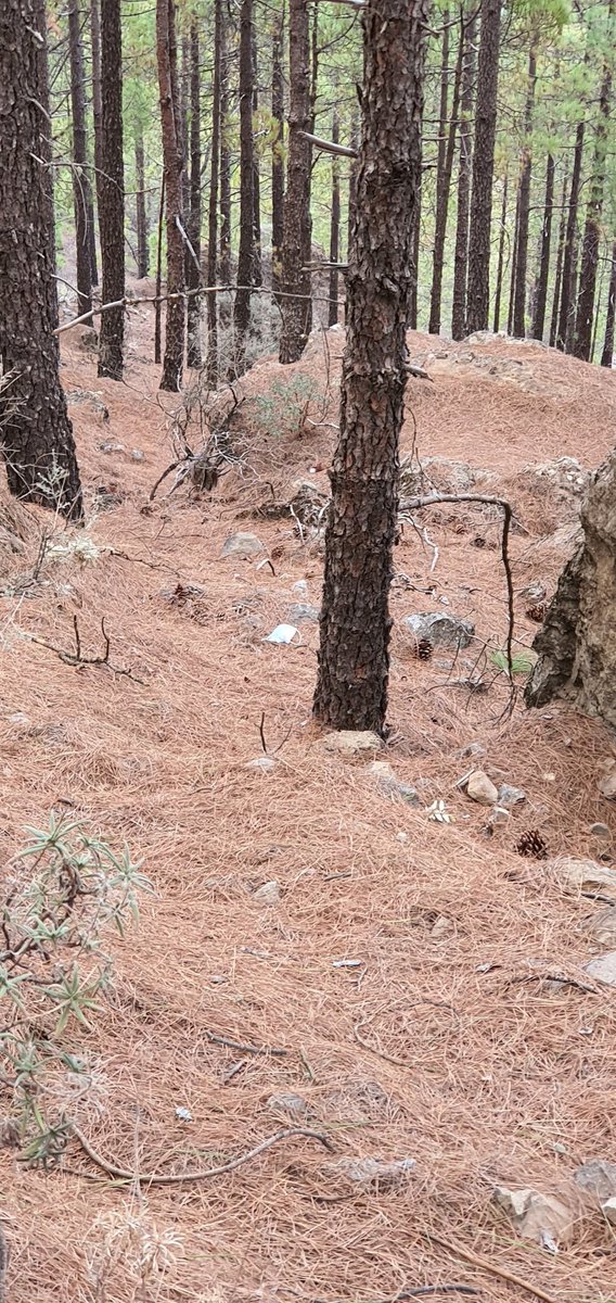 CrisCanariona's tweet photo. Luego nos quejamos de que nos pidan permisos para visitar sitios importantes, para acampar y etc. Si con gente guarra en este mundo es lo que nos toca. Indignante ademas toda la gente que subia sin mascarilla al Roque nublo, la mayoría extranjeros. @GranCanariaCab https://t.co/Rtbi1ui4iO