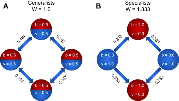 Things get interesting when we model trade among cells in simple multicellular organisms (specified as topologically-defined graphs, which are actually a great approximation for early multicellular life), restricting cells to trade only with their neighbors.