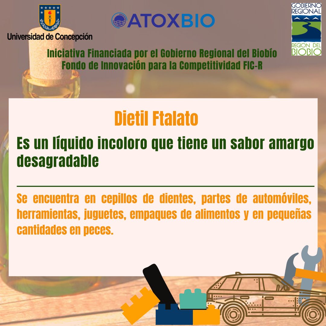 El dietilftalatl es un líquido 🧪 incoloro que tiene un sabor amargo y desagradable 😣 ; es un compuesto sintético usado comúnmente para dar flexibilidad a plásticos. ¿Donde se encuentra❌? ¡Descúbrelo aquí 👈🏻 ! #udec #atoxbio #gore #fic