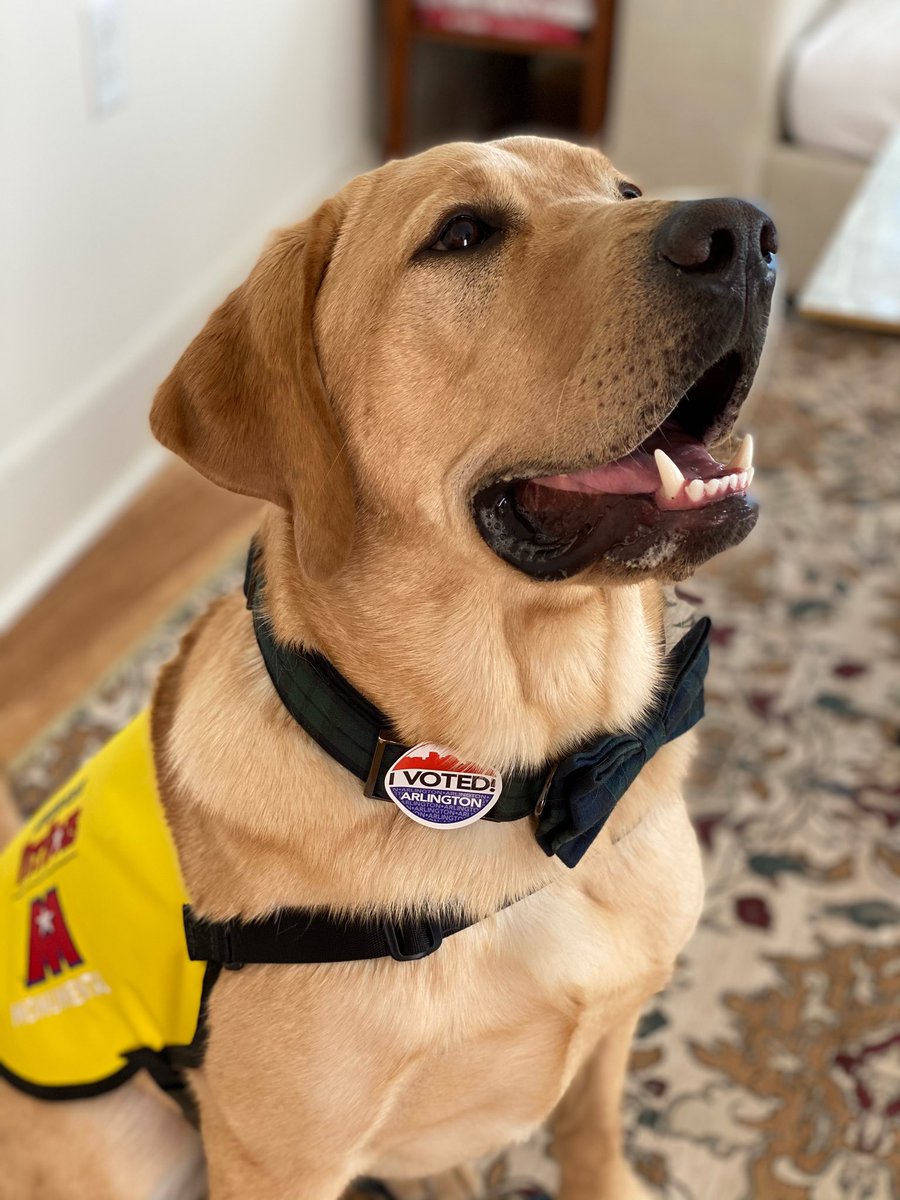 MSE's tweet photo. I beg of you, GO VOTE!! 🗳

#ElectionDay #YourVoteMatters https://t.co/OlAfmKKgAk