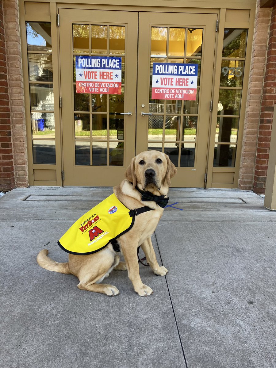 MSE's tweet photo. I beg of you, GO VOTE!! 🗳

#ElectionDay #YourVoteMatters https://t.co/OlAfmKKgAk