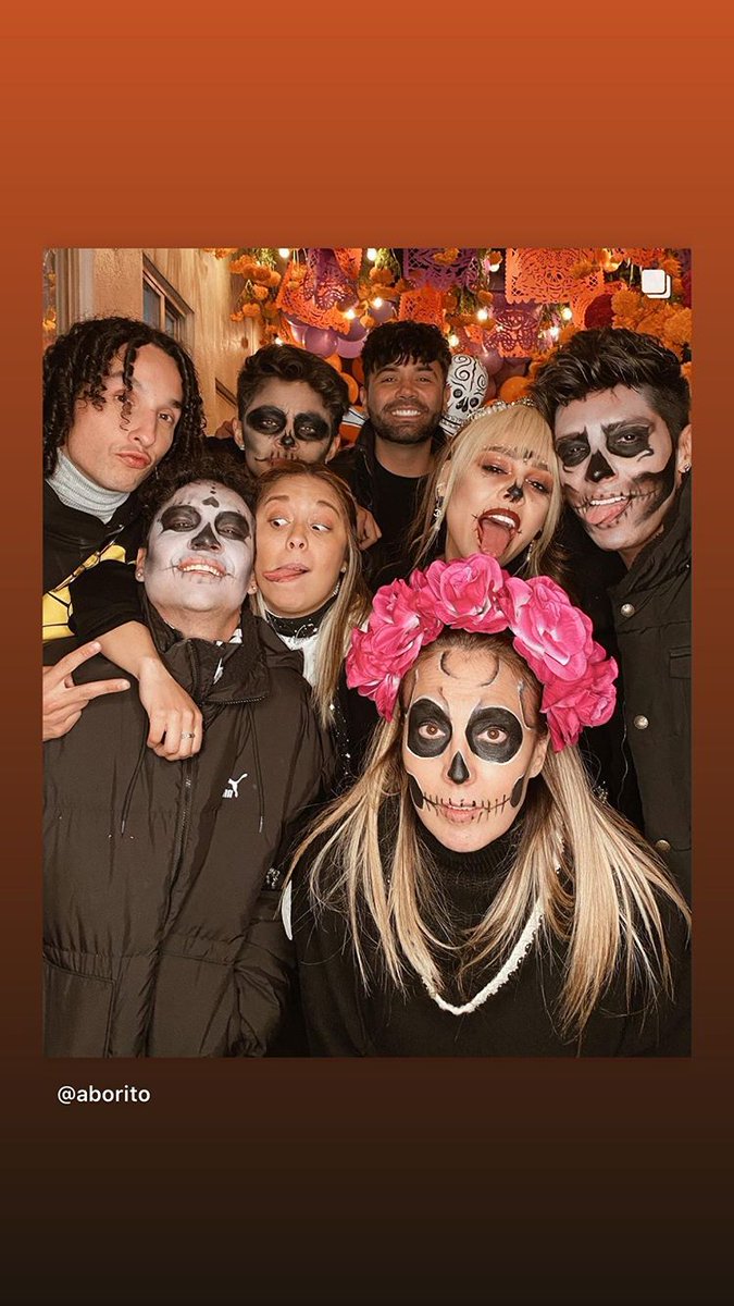 Vanessa Harp tweet media