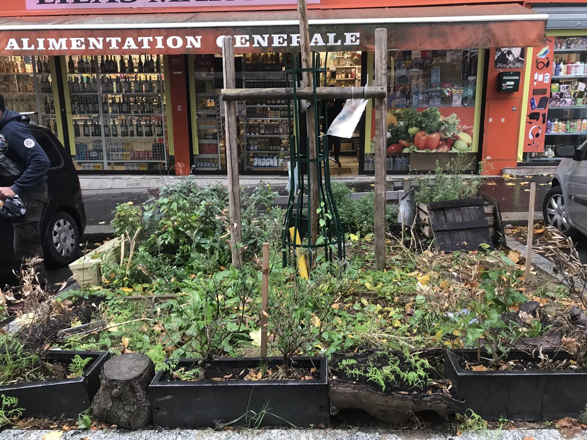 Pieds d’arbres végétalisés

Big up aux habitants qui pensent à installer des vieilles bûches pour développer des habitats pour la petite faune urbaine
#Nature #Ville #Paris19 #1km #végétalisation #sénescence