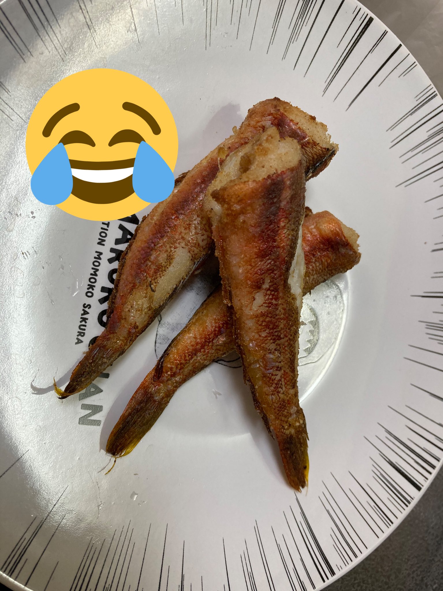 トラギス Twitter Search Twitter