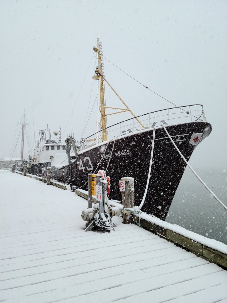 1st snowy day in Lunenburg!