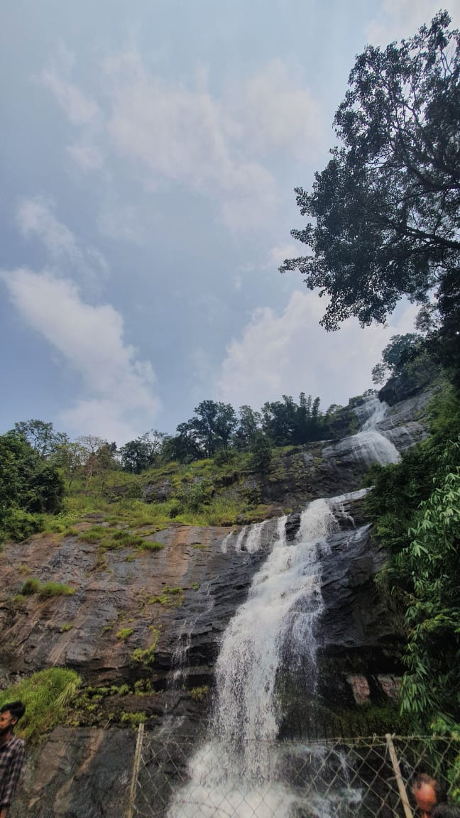 henahyder's tweet photo. Cheeyampara waterfall #munnardays #NaturePhotography #beautiful #henasphotography #picoftheday #photography https://t.co/25v2IO8xe6
