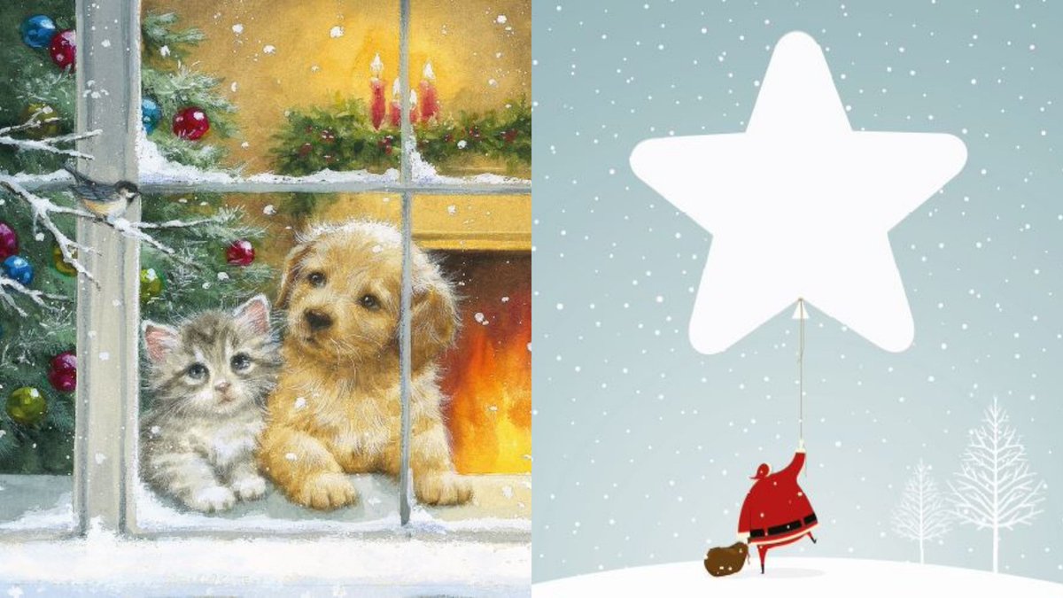 Sands - baby loss charity 💜🧡 tweet media