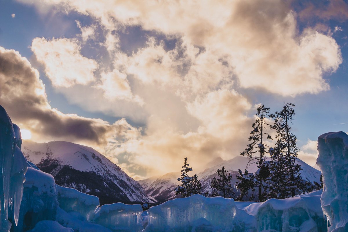 dannidoesphotos's tweet photo. Variety is the ice of life https://t.co/duKPDvBjbM