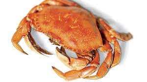 Crab