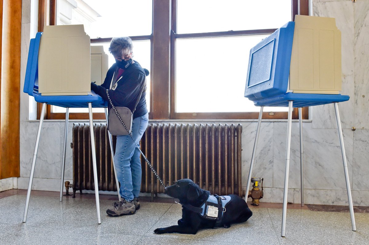 Most importantly we have DOGS IN DEMOCRACY people #mtpol  #mtnews  #mtvotes